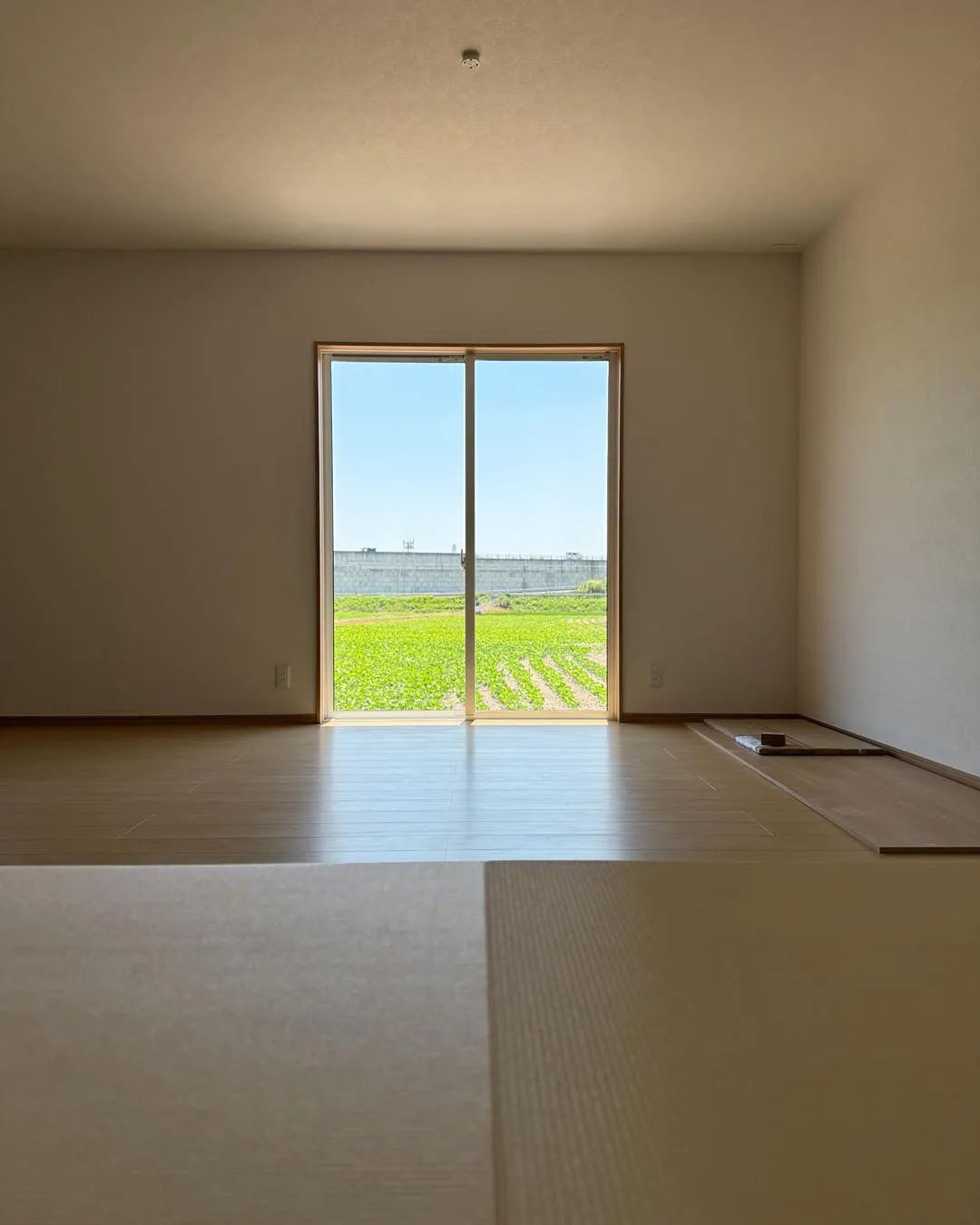 リビングの一角に、畳の小上がり。