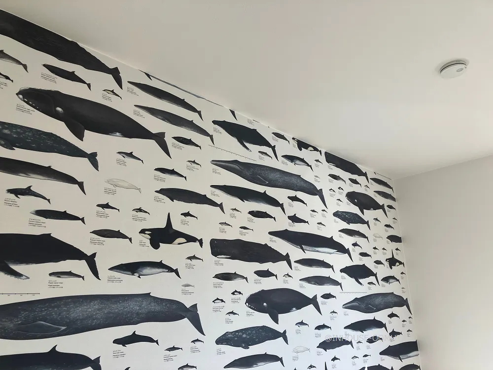 大牟田市T様邸 完工